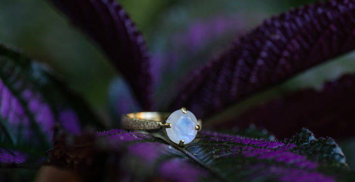 Rainbow Moonstone Ring Claw Set in Textured 14k Gold Plated Sterling Silver - Size 7 US