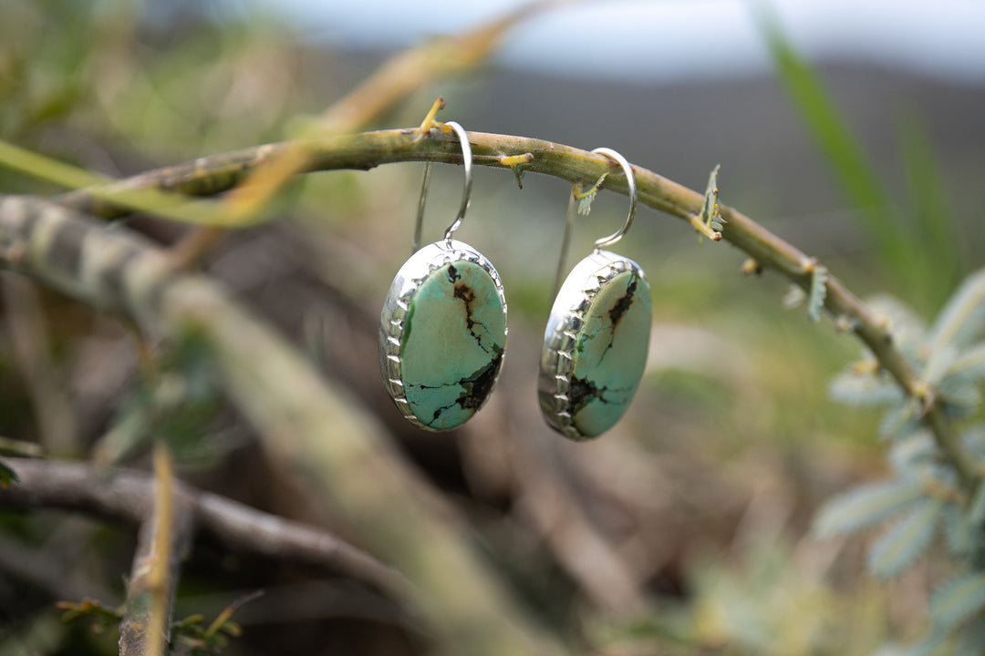 Genuine Turquoise Earrings set in Sterling Silver
