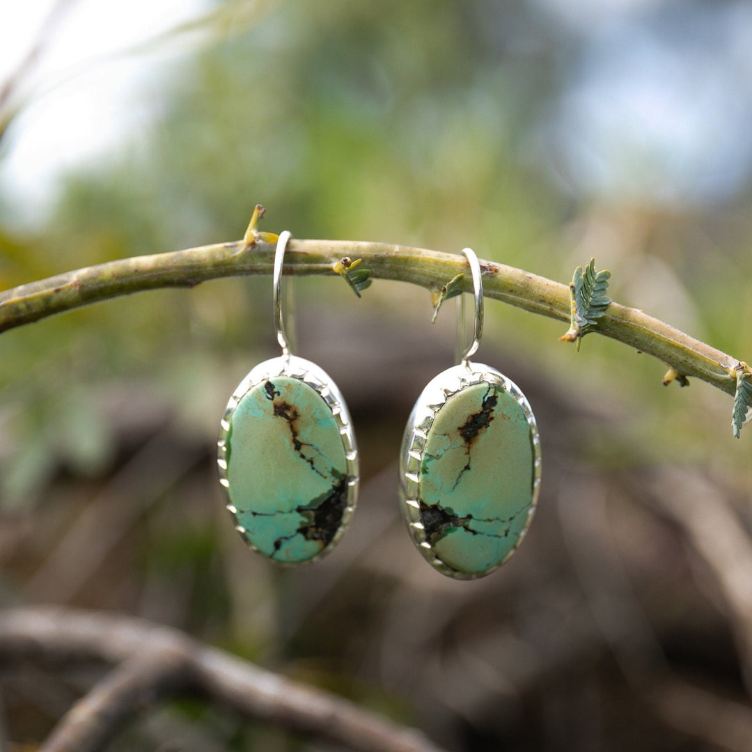 Genuine Turquoise Earrings set in Brushed Sterling Silver