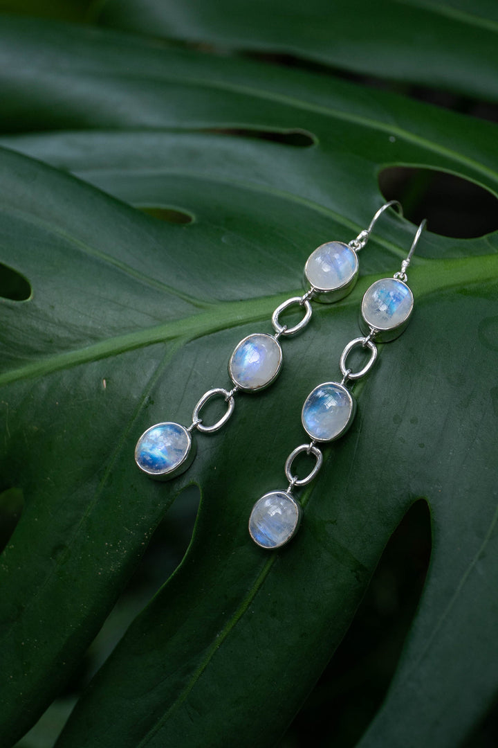 High Grade Triple Drop Rainbow Moonstone Hook Earrings in Sterling Silver Setting